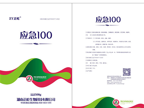 应急100