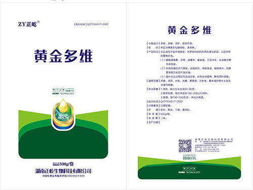 黄金多维 
