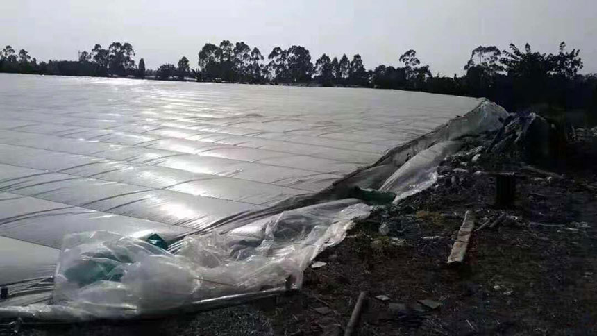 湖南正屹生物科技有限公司,湖南水污染治理公司,生态修复,土壤污染治理 湖南正屹生物科技有限公司,湖南水污染治理公司,生态修复,土壤污染治理