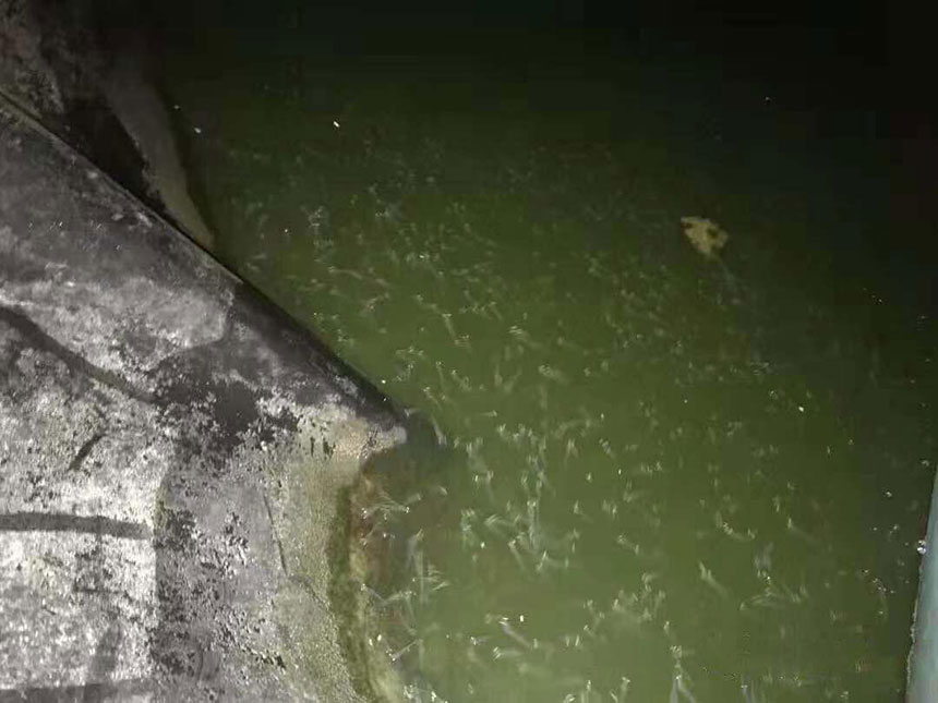 湖南正屹生物科技有限公司,湖南水污染治理公司,生态修复,土壤污染治理 湖南正屹生物科技有限公司,湖南水污染治理公司,生态修复,土壤污染治理