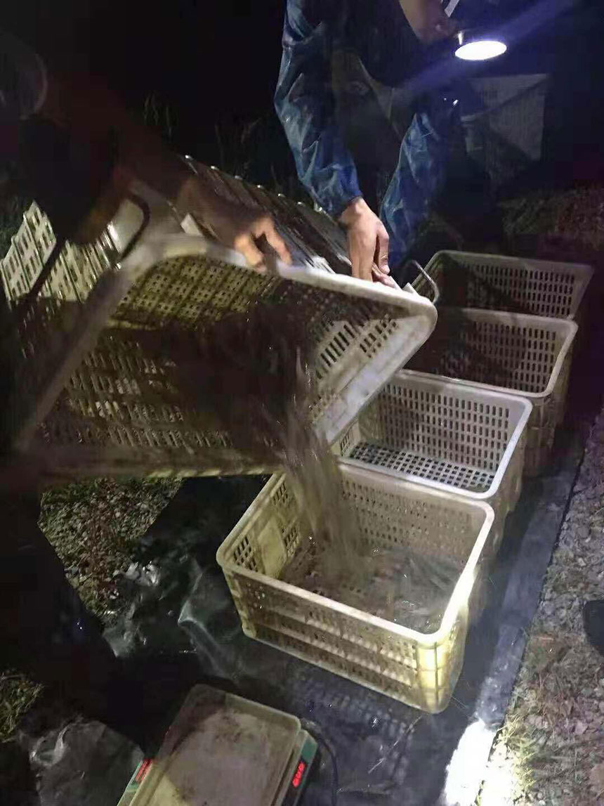 湖南正屹生物科技有限公司,湖南水污染治理公司,生态修复,土壤污染治理 湖南正屹生物科技有限公司,湖南水污染治理公司,生态修复,土壤污染治理