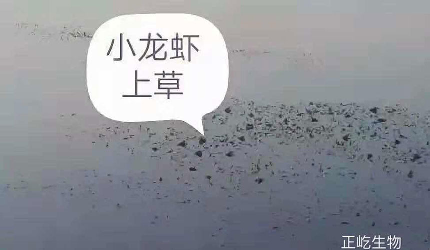 湖南正屹生物科技有限公司,湖南水污染治理公司,生态修复,土壤污染治理 湖南正屹生物科技有限公司,湖南水污染治理公司,生态修复,土壤污染治理