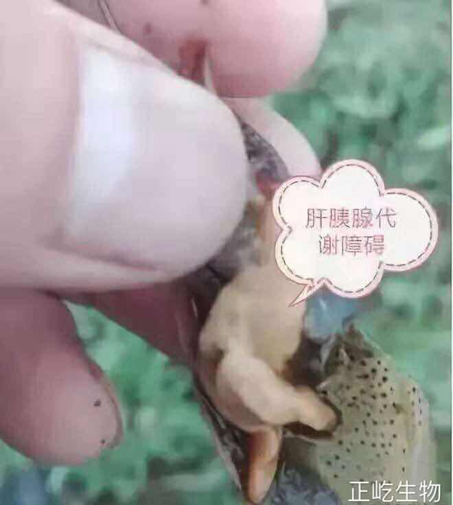 湖南正屹生物科技有限公司,湖南水污染治理公司,生态修复,土壤污染治理 湖南正屹生物科技有限公司,湖南水污染治理公司,生态修复,土壤污染治理