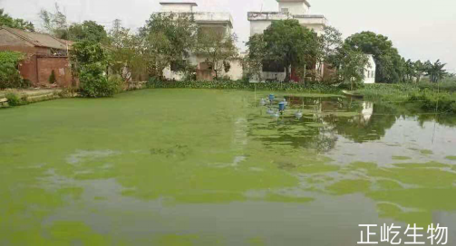 湖南正屹生物科技有限公司,湖南水污染治理公司,生态修复,土壤污染治理 湖南正屹生物科技有限公司,湖南水污染治理公司,生态修复,土壤污染治理