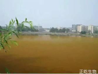 湖南正屹生物科技有限公司,湖南水污染治理公司,生态修复,土壤污染治理 湖南正屹生物科技有限公司,湖南水污染治理公司,生态修复,土壤污染治理